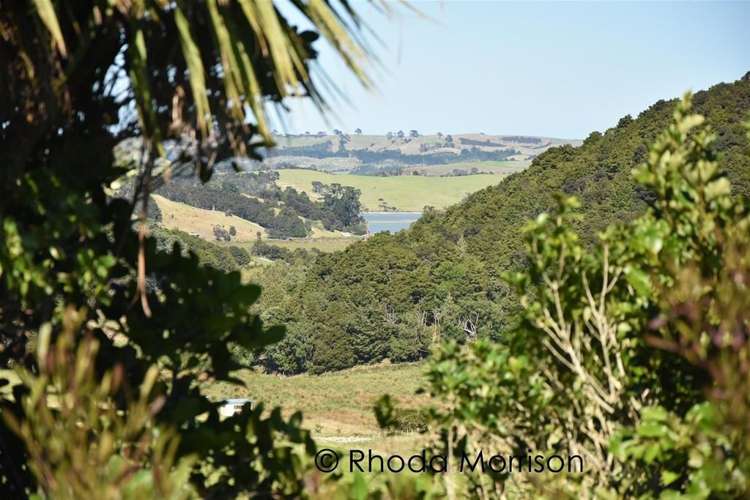 208 Heatley Road Whakapirau_20