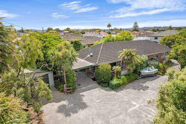 77 Birdwood Avenue Papatoetoe_1