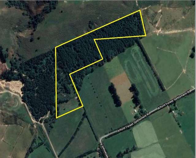 Alford Forest Settlement Road Mount Somers_1