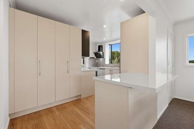 72 Dunrobin Street Waverley_4