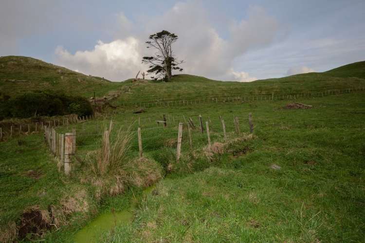 852 Upper Kina Road Opunake_2