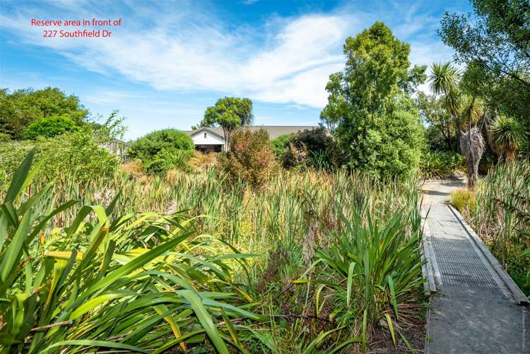 227 Southfield Drive Lincoln_30