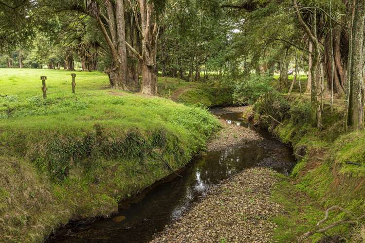 453 Pigs Head Road Hukerenui and Surrounds_23