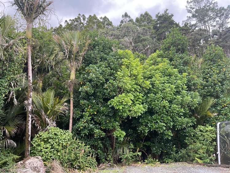 200 Ti Point Road Leigh_31