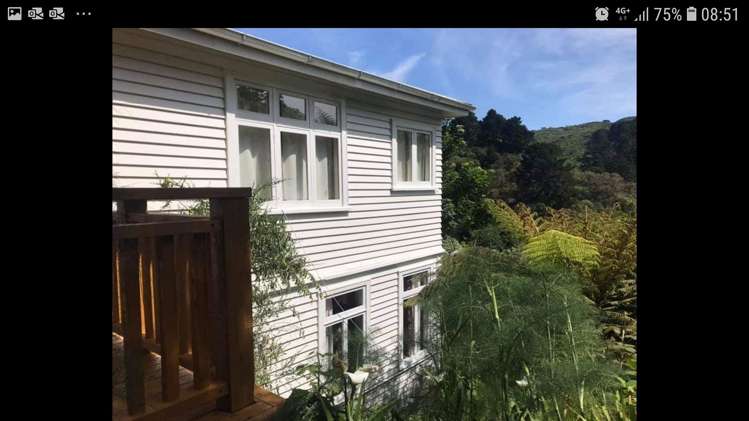 6 Semeloff Terrace Aro Valley_13