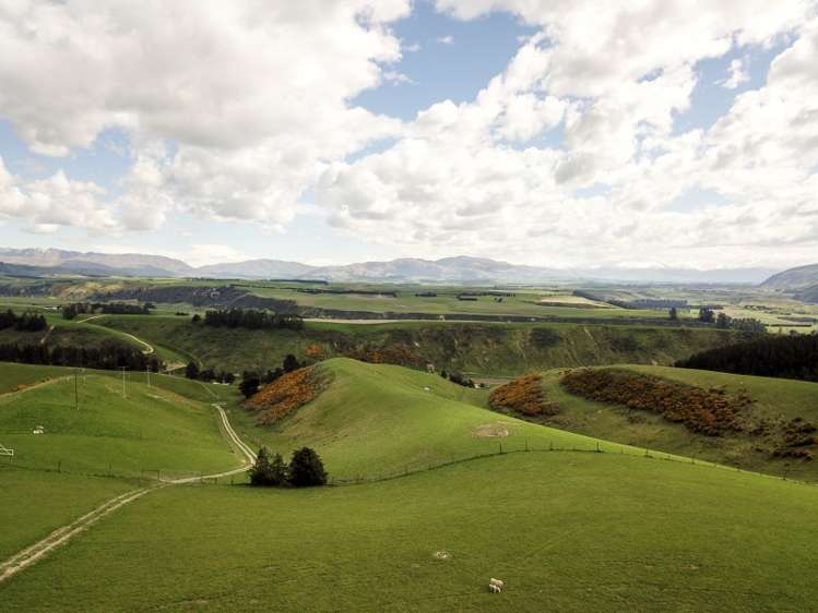 171 Monavale Road Albury_19