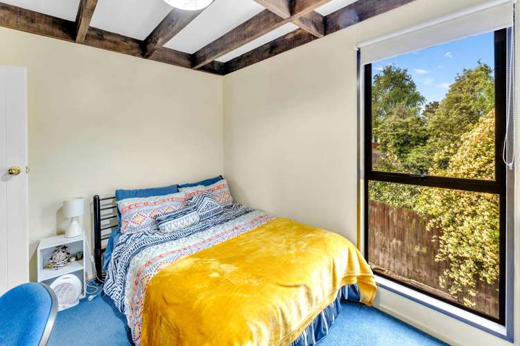 18a otipua road Kensington_13