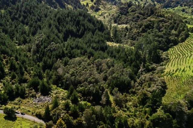 1 Omaunu Road Kaeo_4