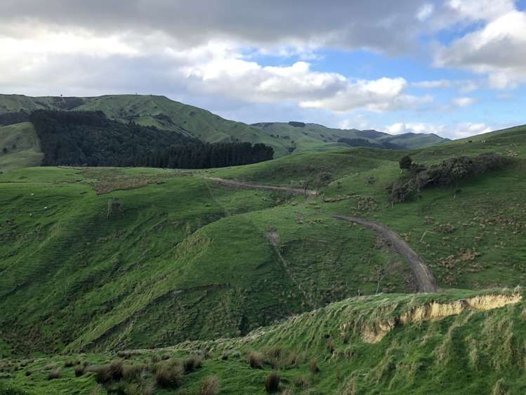 337 Saunders Road Eketahuna_13