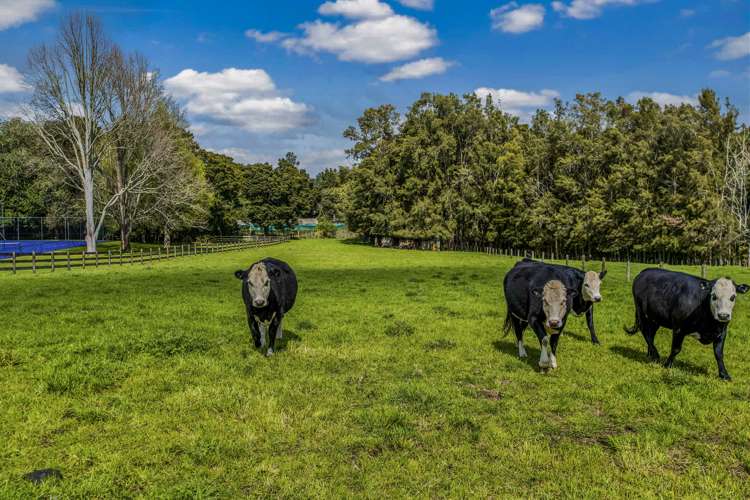 76a Jericho Road Pukekohe East_18