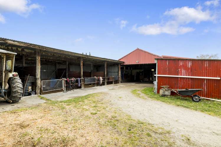 60 Hazlett Road Mosgiel_22