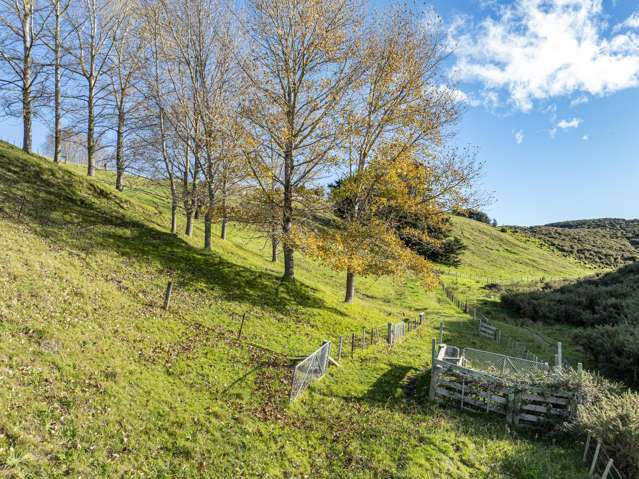 70 Pineleigh Drive Poraiti_4