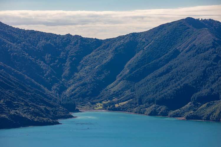 958 Bill Bryants Road Marlborough Sounds_5