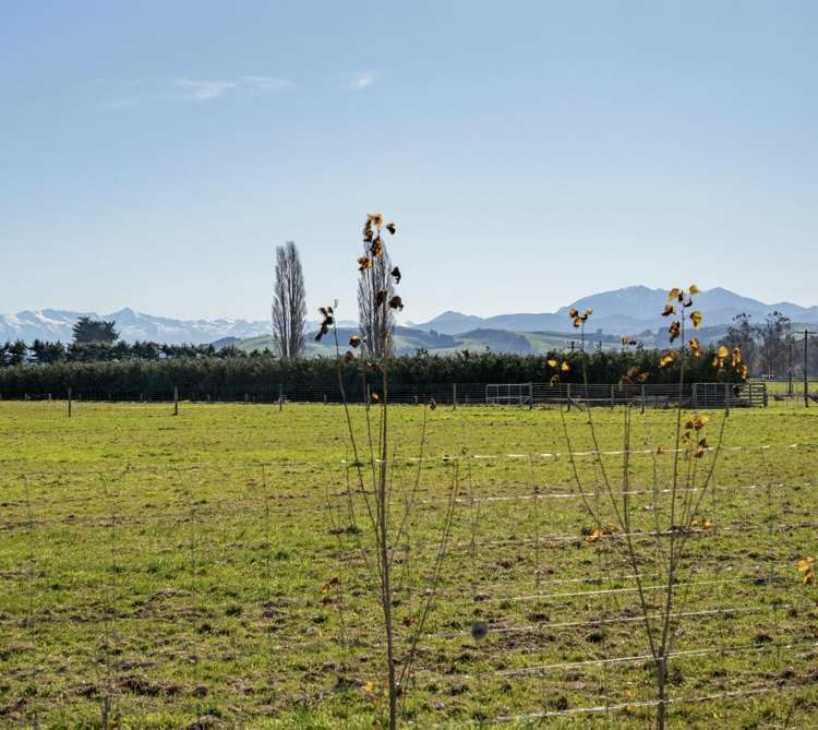 1 Opihi Road_3