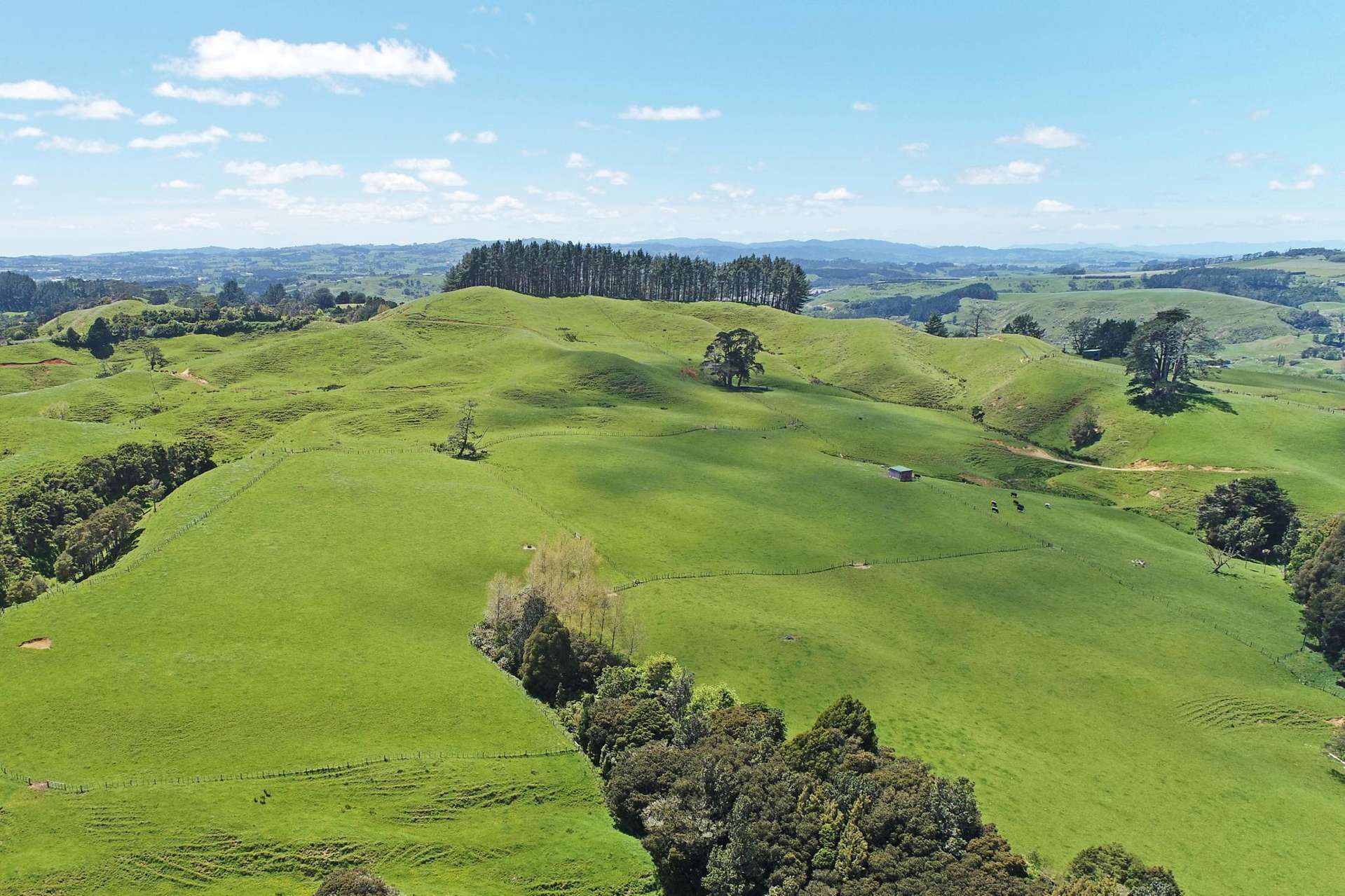 357 Onewhero-Tuakau Bridge Road Onewhero_0