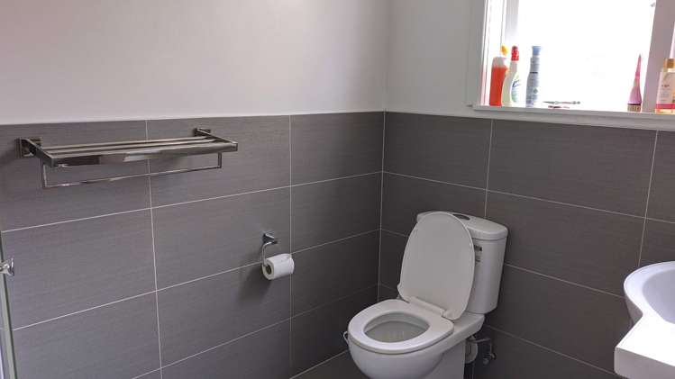 575 Hillsborough Road Mount Roskill_6