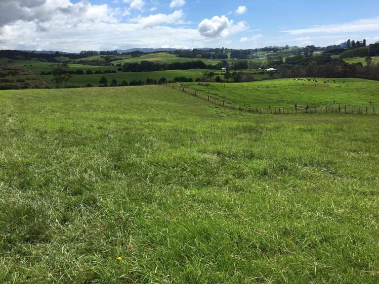 244 Devich Road Mangawhai_7