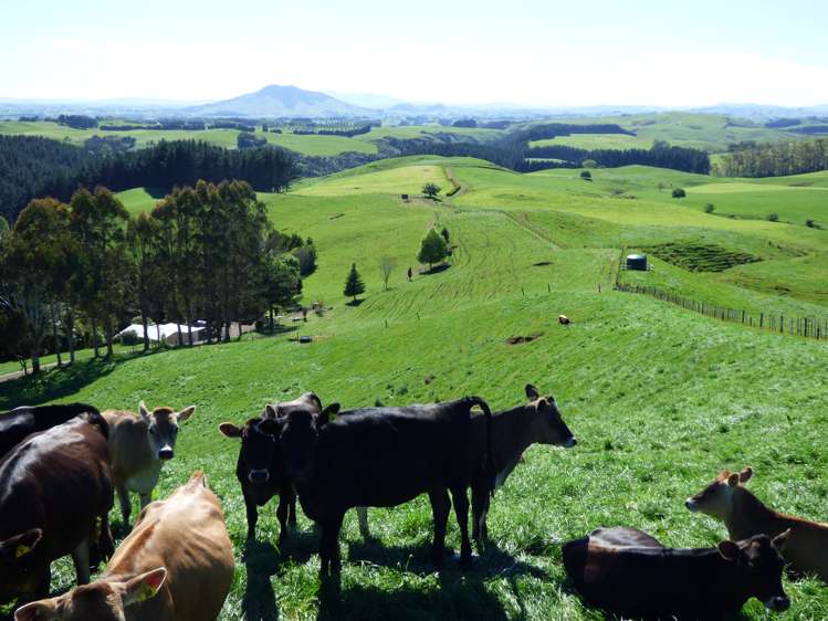2229 State Highway 31, Kawhia Road Otorohanga_20