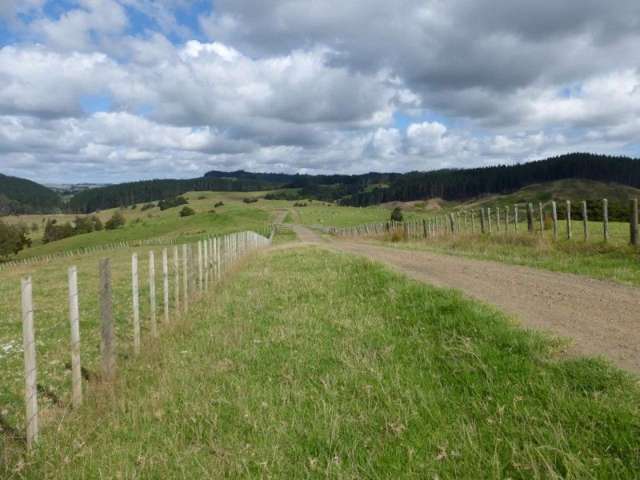 1577 Tangowahine Valley Road Dargaville Surrounds_2