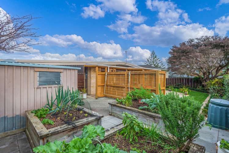 35 Terry Crescent Milson_16