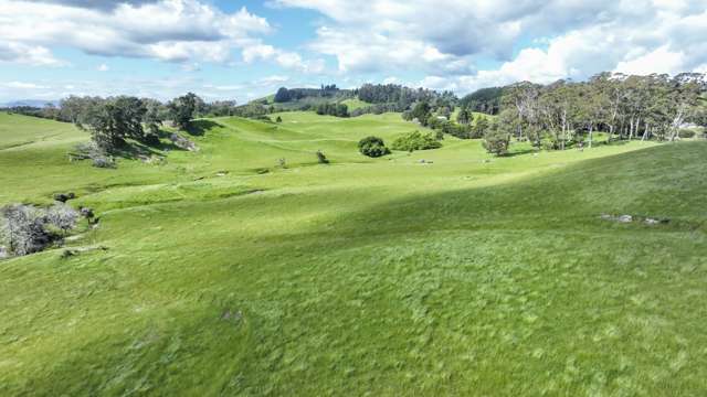 Lots 1 - 15, 2136 Taihape Road Sherenden_3