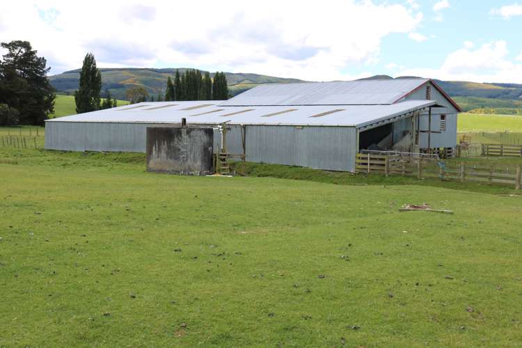 7 Abram Road Gore Surrounds_5