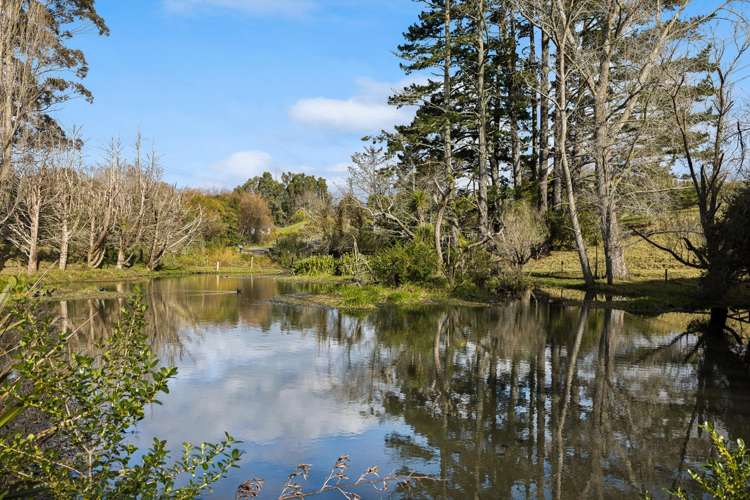 74 Dale Road Ramarama_44