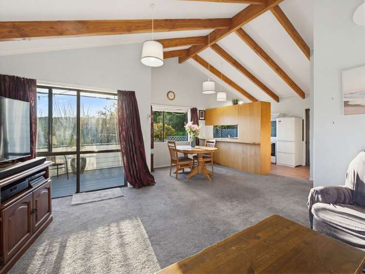 25 Alfred Street Nelson South_9