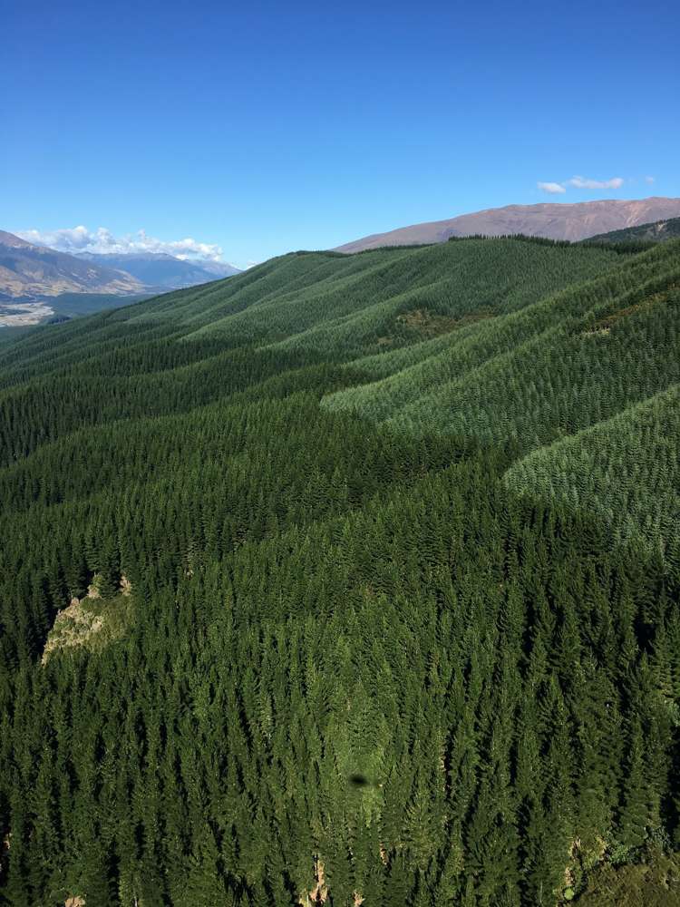 State Highway 63 Renwick_8