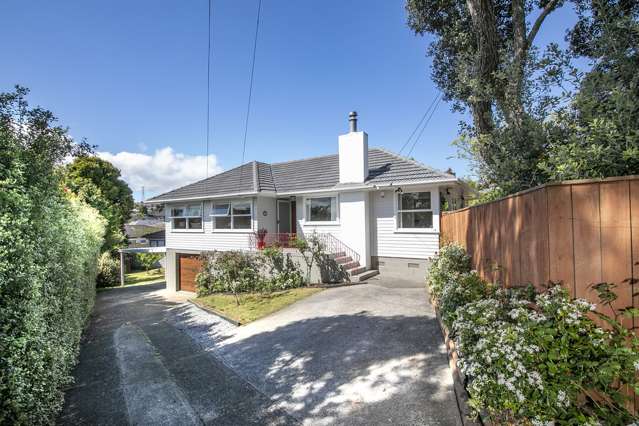 15 Fickling Avenue Mount Roskill_1