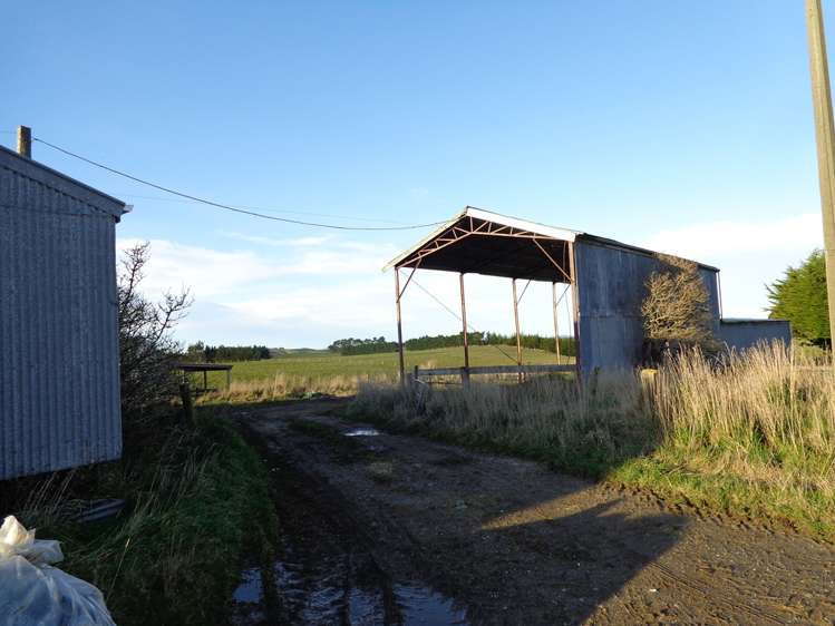 Old Port Road Catlins Surrounds_4