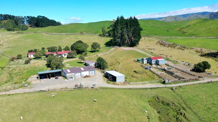 412 France Road Matamau_32