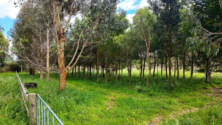 25 Cookson Road Tikitere_37