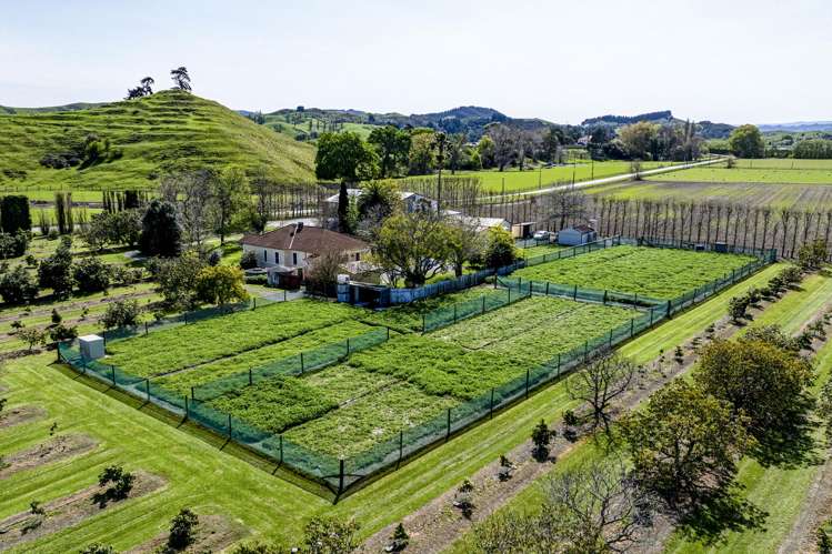 288 Lavenham Road Patutahi_21