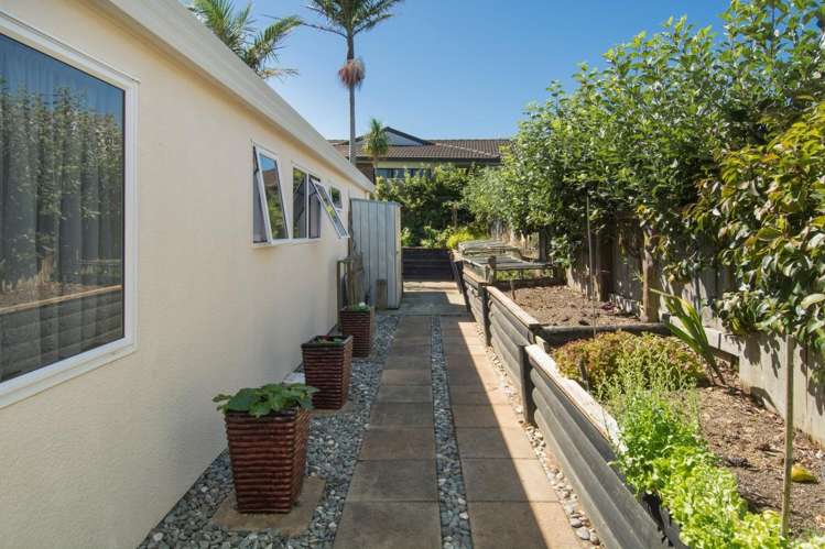 2 Verbena Glen Mount Maunganui_14