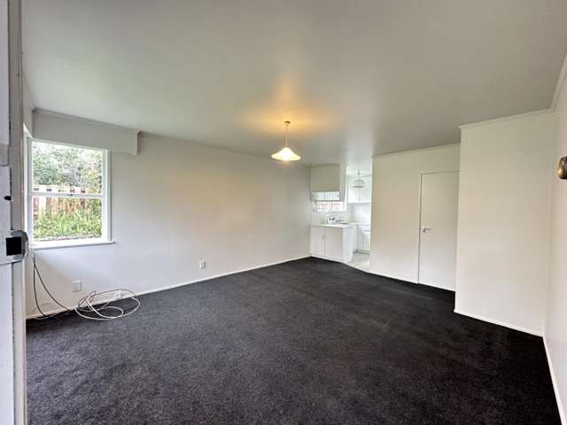 2/375 Pakuranga Road 10694_4