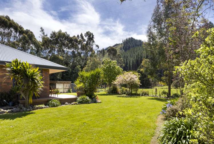 132 Mount Riley Road Havelock_18