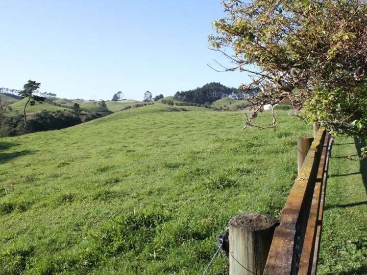 1355 Mountain Road Inglewood_19