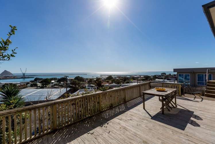 9 South Road Moturoa_21