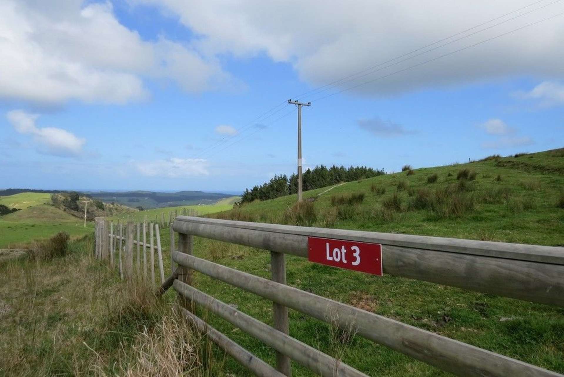 Airstrip Road Dargaville Surrounds_0