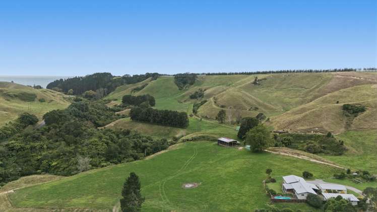 147A Pikowai Road Pikowai_17