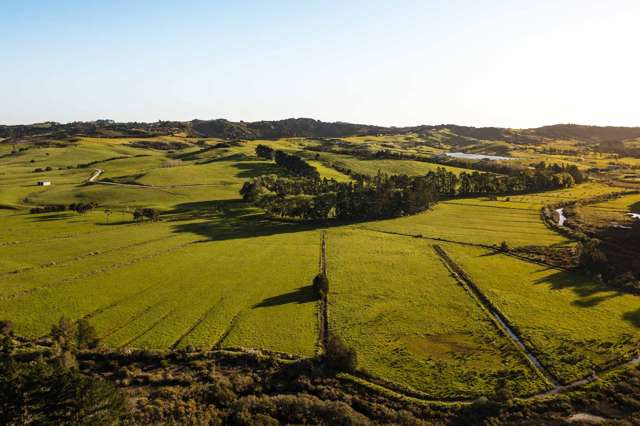 10 Wallbank Way Mangawhai_3