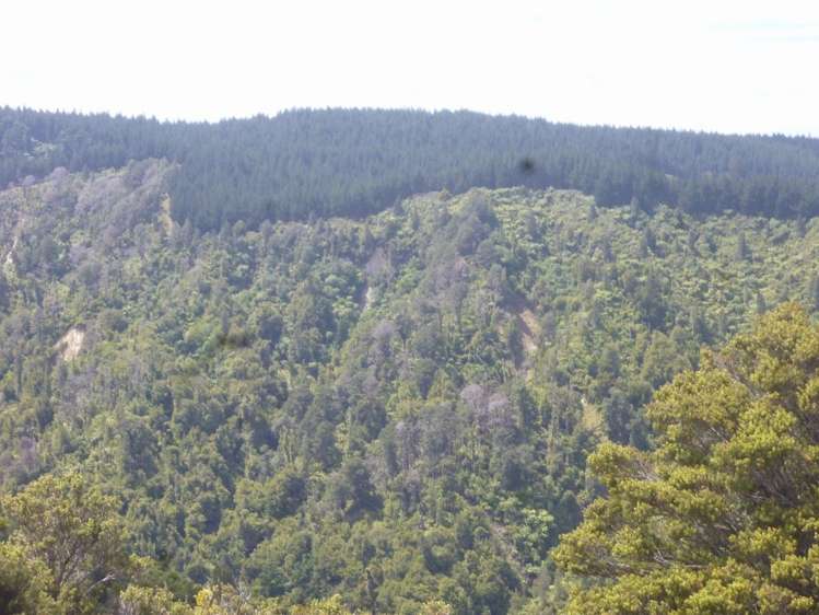 258 Okahutiria Road Waverley_26