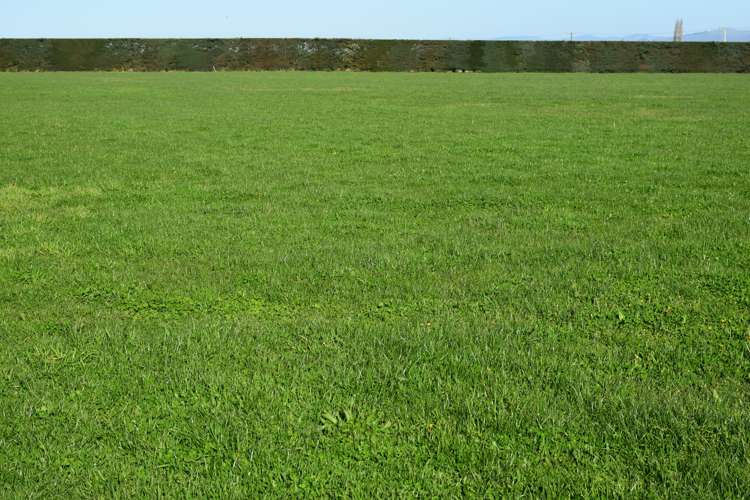 1322 South Eyre Road Swannanoa_15