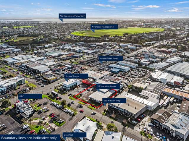 33 Veronica Street New Lynn_2