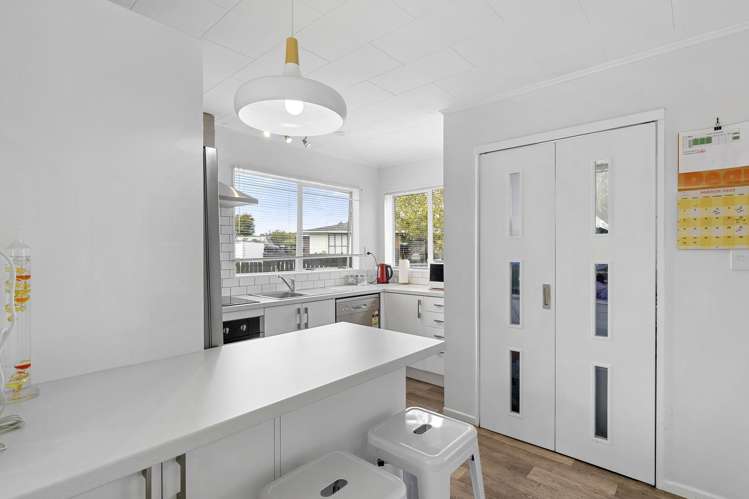 1/4 Beryl Grove Birchville_5