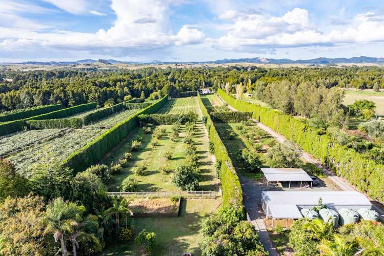 440 Mangakahia Road Maungatapere_34