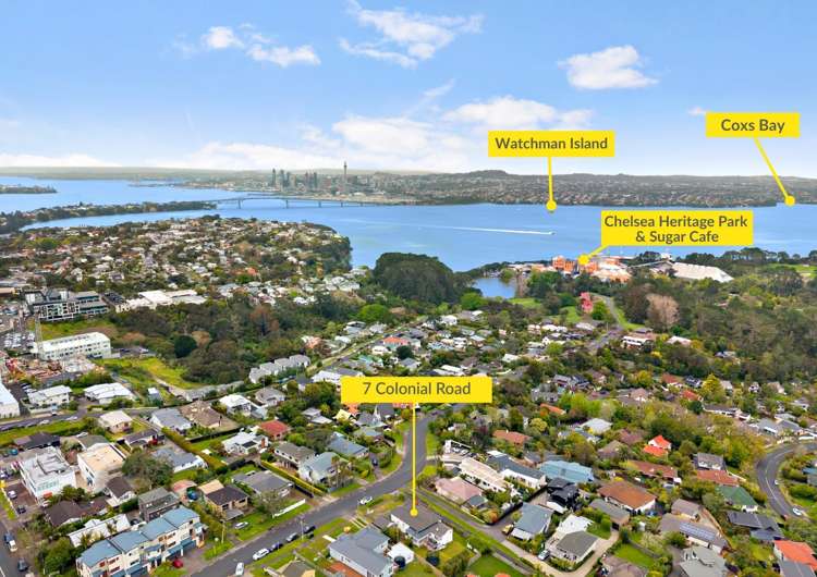 7 Colonial Road Chatswood_2