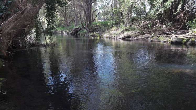 5 Monalua Avenue Purau_9