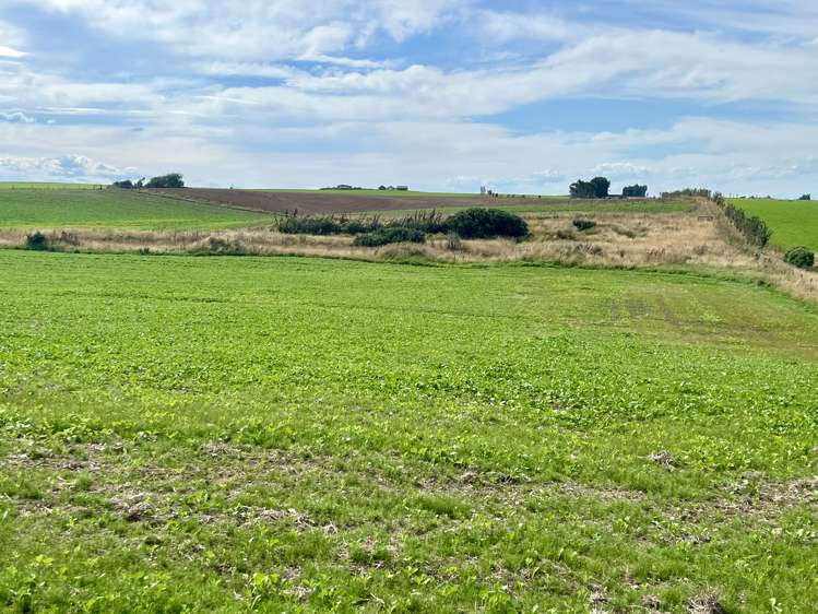 135 Orr Road Waimatua_9